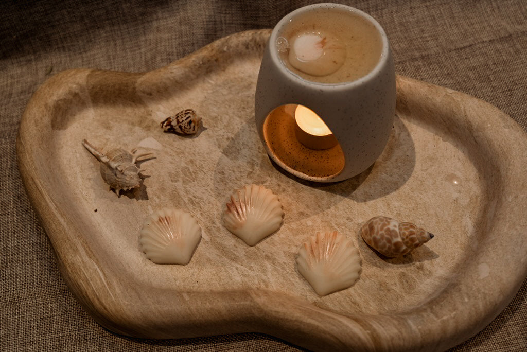 AURA SHELLS