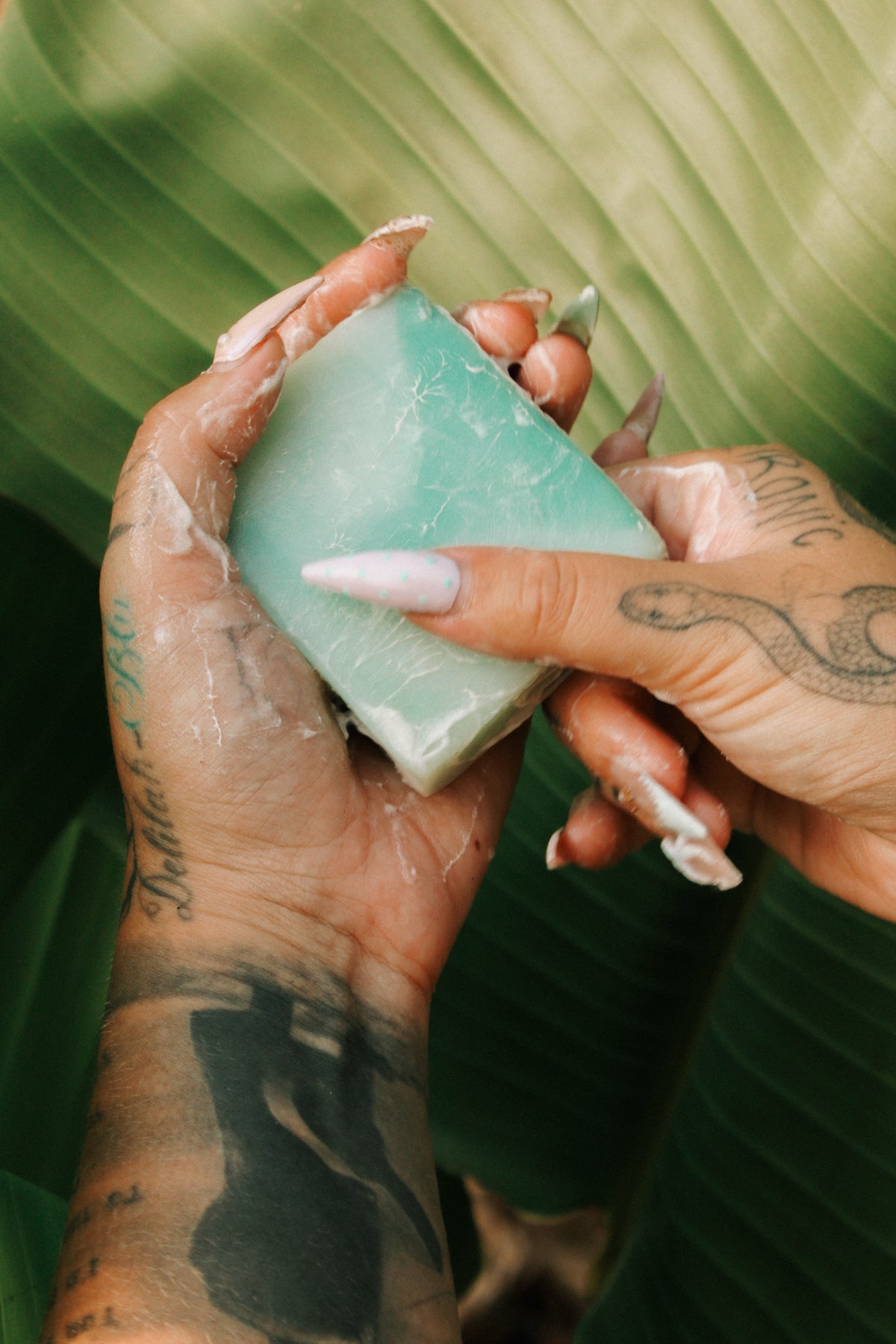 Plastic-Free & Long Lasting
